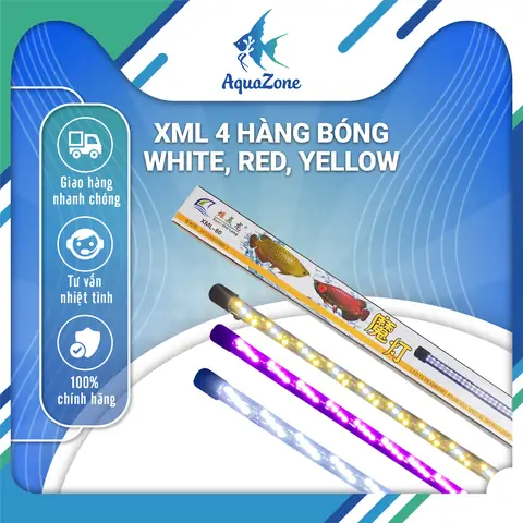 Đèn Xml 4 Hàng Bóng