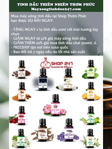 Đèn Xông Tinh Dầu Bình Dương