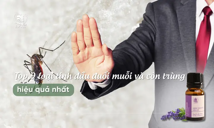 Đèn Xông Tinh Dầu Đuổi Muỗi Đà Nẵng