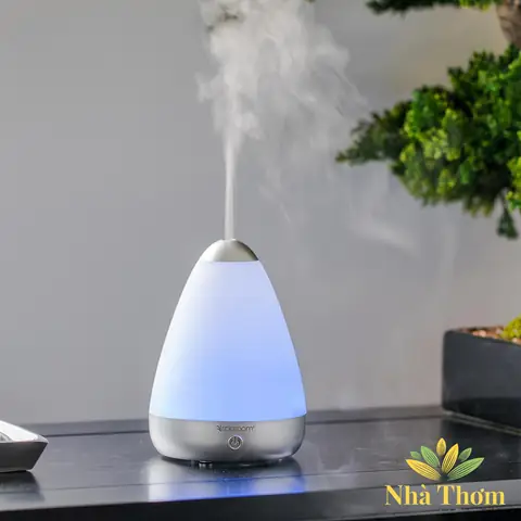 Đèn Xông Tinh Dầu Giá Rẻ