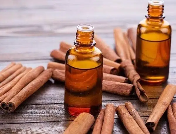 Đèn Xông Tinh Dầu Quế