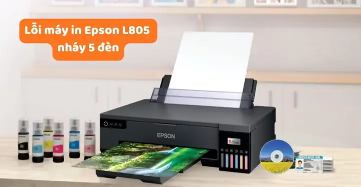 Epson L805 Nháy 5 Đèn