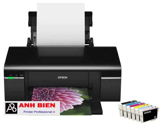 Epson T60 Nháy 2 Đèn Đỏ Cùng Lúc
