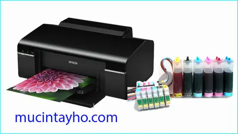 Epson T60 Nháy 2 Đèn Đỏ Cùng Lúc