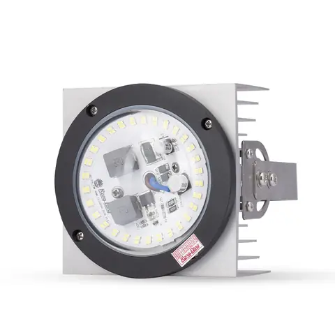 Giá Bóng Đèn Câu Mực