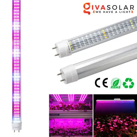 Giá Đèn Led Ống Tuýp