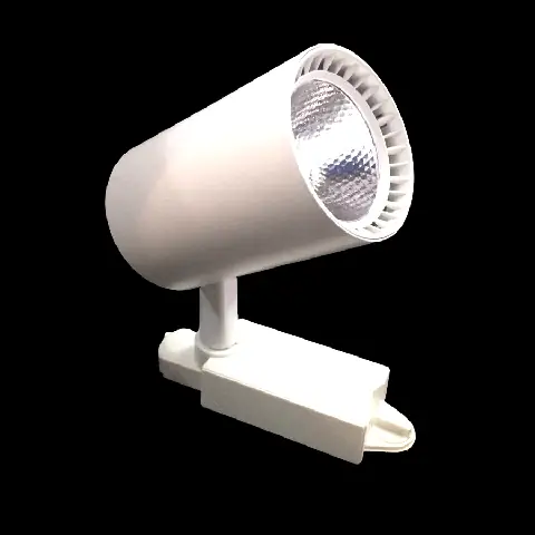Giá Đèn Rọi Ray 20w