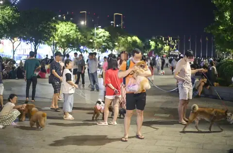 Hàng Xóm Tối Lửa Tắt Đèn Có Nhau Tiếng Anh