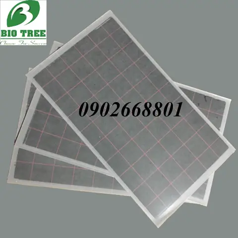 Keo Đèn Bẫy Côn Trùng