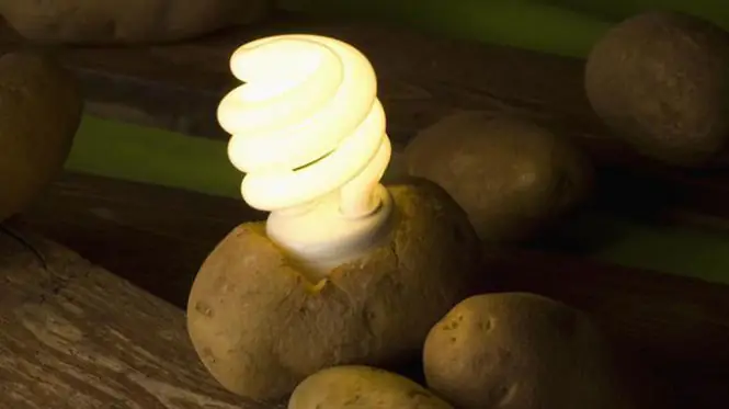 Làm Đèn Ngủ Từ Khoai Tây