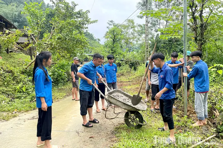 Lấp Lánh Những Ánh Đèn Đường