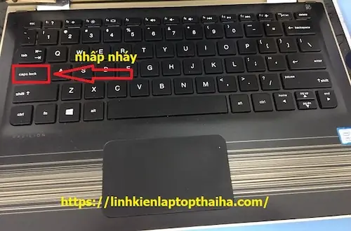Laptop Hp Nháy Đèn Capslock