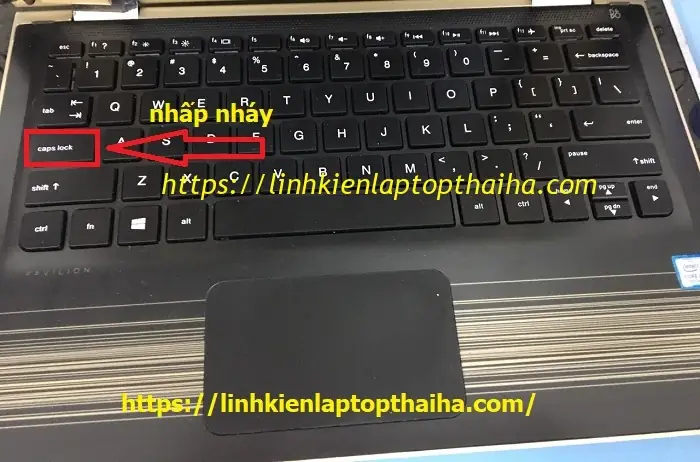 Laptop Hp Nháy Đèn Capslock