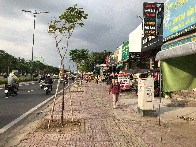 Lẻ Loi Giữa Con Phố Không Ánh Đèn