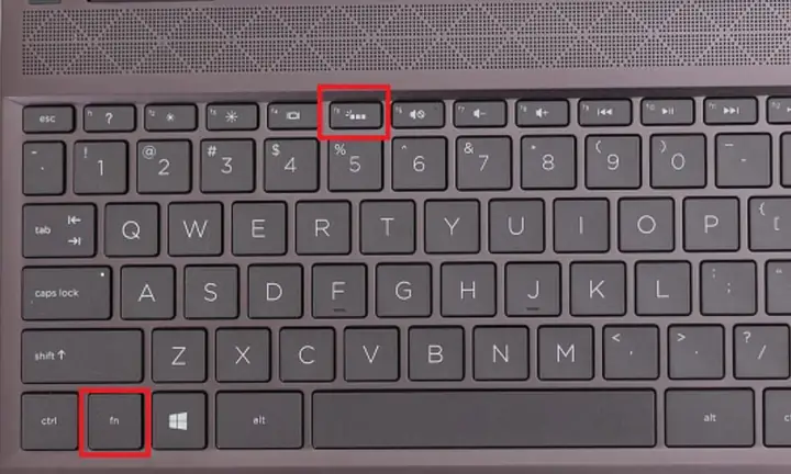 Máy Tính Hp Có Đèn Bàn Phím