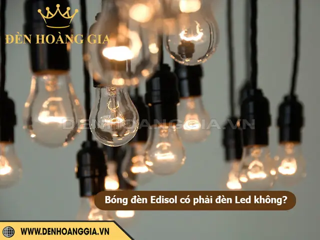 Một Bóng Đèn Sợi Đốt Loại 12v 6w