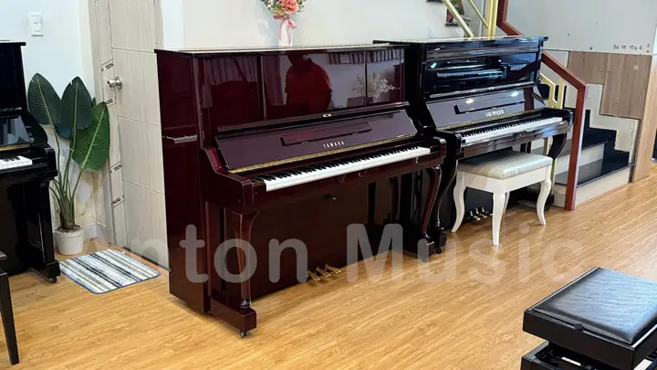 Một Đèn Chùm Có Khối Lượng 250kg