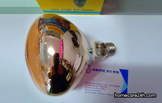 Mua Bóng Đèn Sưởi Halogen Ở Đâu
