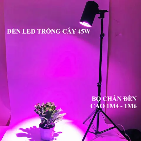 Mua Đèn Led Trồng Cây Ở Đâu