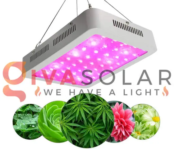 Mua Đèn Led Trồng Cây Ở Đâu