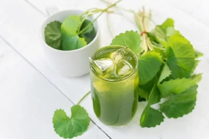 Ngày Đèn Đỏ Có Nên Uống Nước Rau Má