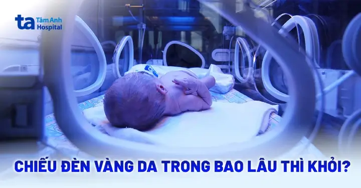 Ngày Đèn Đỏ Trong Bao Lâu