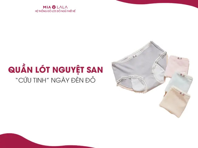 Quần Lót Cho Ngày Đèn Đỏ Của Nhật