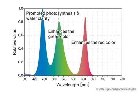 Quang Phổ Của Đèn Led