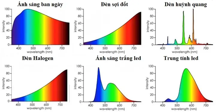 Quang Phổ Của Đèn Led