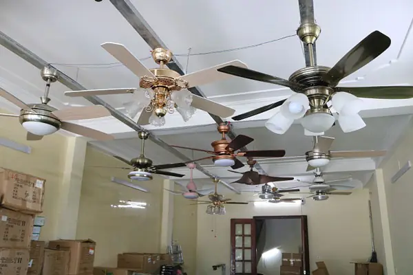 Quạt Trần Đèn Hải Phòng