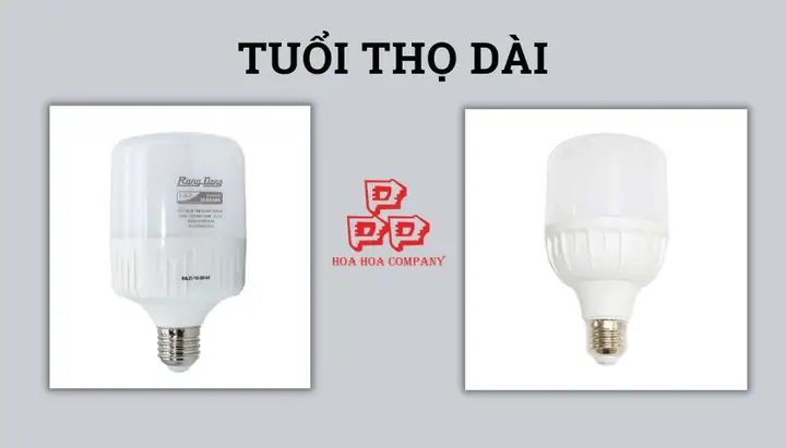So Sánh Đèn Led Duhal Và Rạng Đông