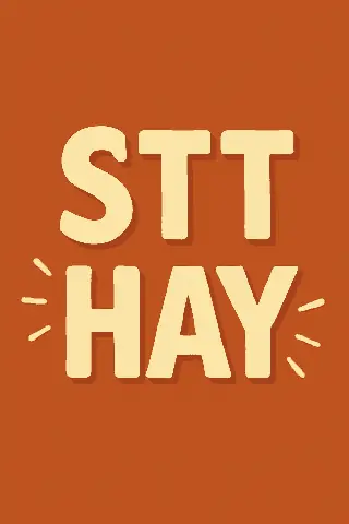Stt Thành Phố Lên Đèn
