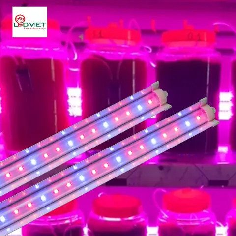 Sửa Đèn Led Rạng Đông