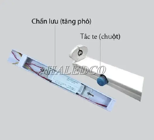 Tác Dụng Của Con Chuột Trong Đèn Huỳnh Quang