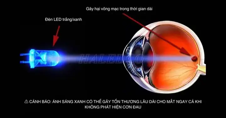 Tác Hại Của Đèn Led