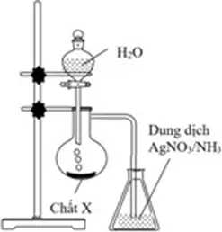 Thành Phần Chính Của Đất Đèn