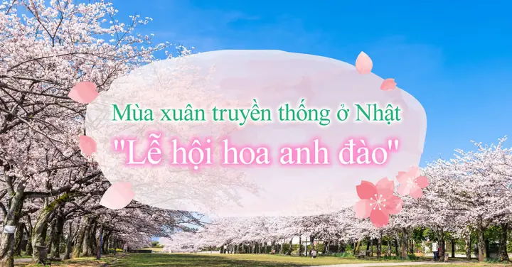 Thắp Đèn Ngắm Hoa Đào