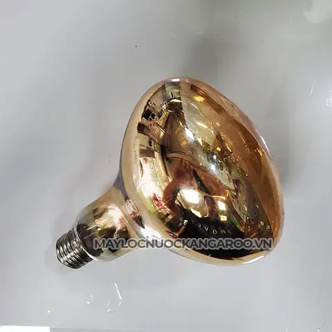 Thay Bóng Đèn Sưởi Kangaroo