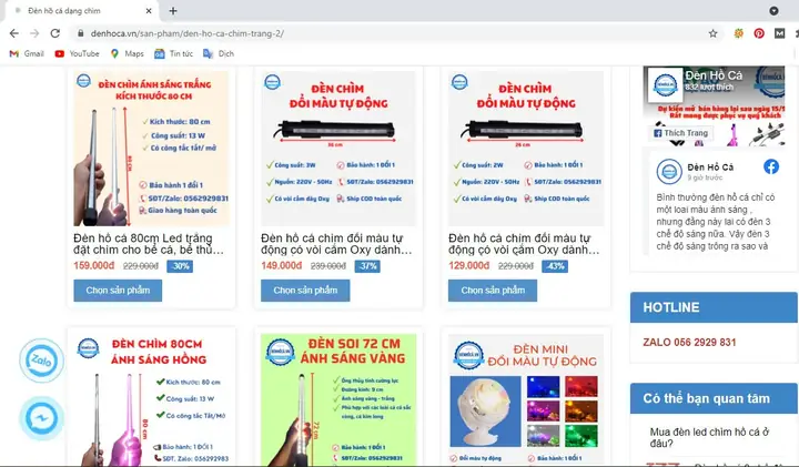 Thời Gian Bật Đèn Cho Cá Rồng