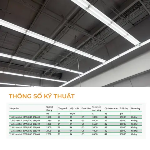 Thông Số Bóng Đèn Huỳnh Quang