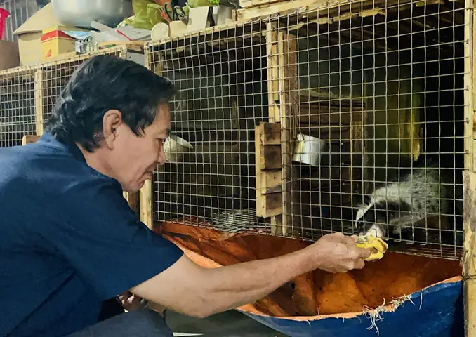 Thức Ăn Của Chồn Đèn
