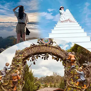 Thung Lũng Đèn Đà Lạt Nấc Thang Lên Thiên Đường