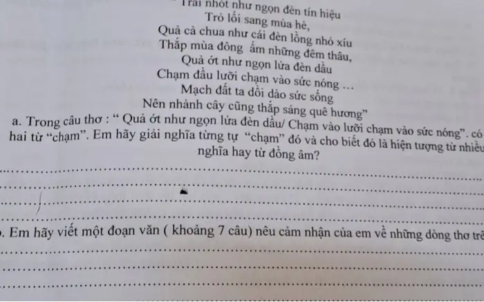 Trái Nhót Như Ngọn Đèn Tín Hiệu