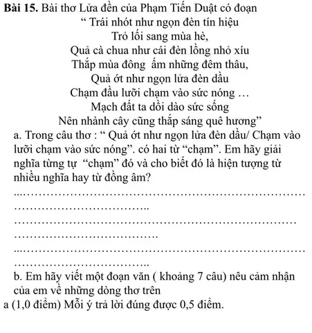 Trái Nhót Như Ngọn Đèn Tín Hiệu