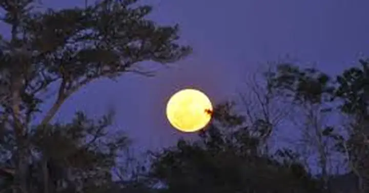 Trăng Khuya Sáng Hơn Đèn