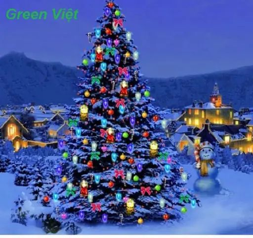 Trang Trí Cây Thông Noel Bằng Đèn Led