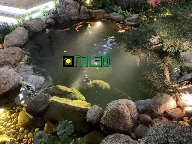 Trang Trí Đèn Cho Hồ Cá