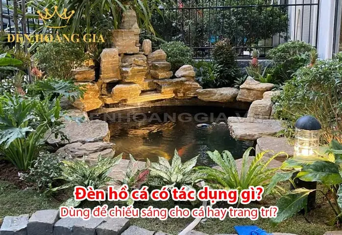 Trang Trí Đèn Cho Hồ Cá