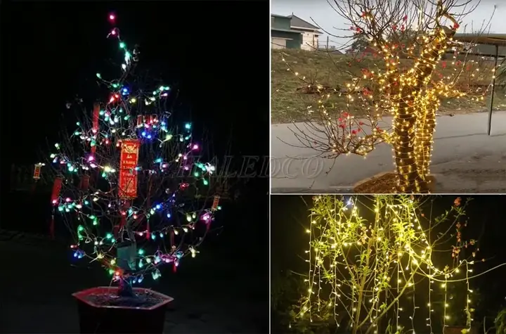 Trang Trí Đèn Nháy Cho Cây Đào