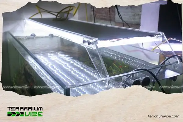 Tự Chế Đèn Led Cho Hồ Thủy Sinh